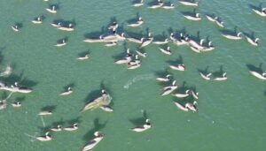 découvrez tout ce qu'il faut savoir sur les documents d'urbanisme en 2026 avec notre guide complet : définitions, procédures, obligations et conseils pratiques pour bien planifier vos projets.